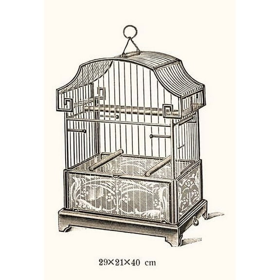 Ornate Black Bird Cage A Fine art canvas print (20" x 30")