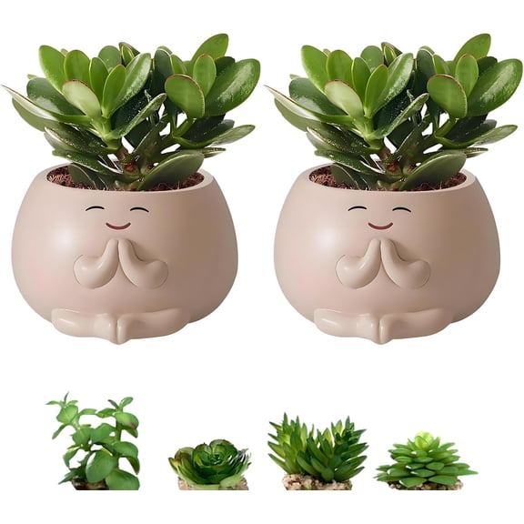 MOAMUN Smiley Face Planter Pot, 2Pcs Cute Resin Flower Head Planters for Indoor Outdoor, Unique Sit Succulent Pots with Drainage Hole for Mothers Day, Teacher, Plant Lovers (Smily)