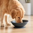 thumbnail image 3 of Wide Raised Dog Bowl, Elevated Pet Food and Water Bowl, Non-Slip Dog Feeding Bowl for Small Medium Dogs, Puppy and Cat, 3 of 3