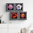 thumbnail image 2 of PixonSign Framed Wall Art Collage Print Gallery Set Rose & Chrysanthemum Flowers Nature Floral Photography Rustic Botanical CloseUp Multicolor for Living Room, Bedroom, Office - 12"x12"x4 BLACK, 2 of 6