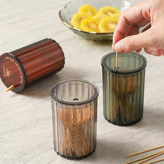 Visland Toothpick Storage Box Dustproof Translucent PS Ultra-light Toothpick Holder Box for Kitchen