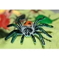 thumbnail image 3 of BOHS Bug Play Figures, Realistic Insect Toys for Educational Projects - 16 Pcs, 2-3 Inch in Length - Perfect Party Favors, Birthday Cake Stand, 3 of 7