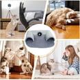 thumbnail image 3 of Foldable Cat Tunnel, UShaped Cat Cave with Washable Bed, Plush Ball, 3 of 5