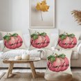 thumbnail image 2 of NSESSHome Clearance Fall Autumn Pumpkin Throw Pillow Covers 18x18 Inch Thanksgiving Outdoor Decorative Pillows Cover Pumpkins Harvest Linen Pillowcase Holiday Cushion Cover for Bed Couch Sofa Decor, 2 of 6