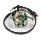 thumbnail image 1 of Estator Magneto apto para 50339004000 *2K-1 versión 125 200 300 380 EGS EXC SX, 1 of 12