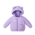 thumbnail image 2 of Esaierr Boys Girls Winter Coats down Outerwear for Kids Toddler 9M-5Y Cute Warm Cotton Coats down Baby Lightweight Winter down Jacket with Hoodie, 2 of 6