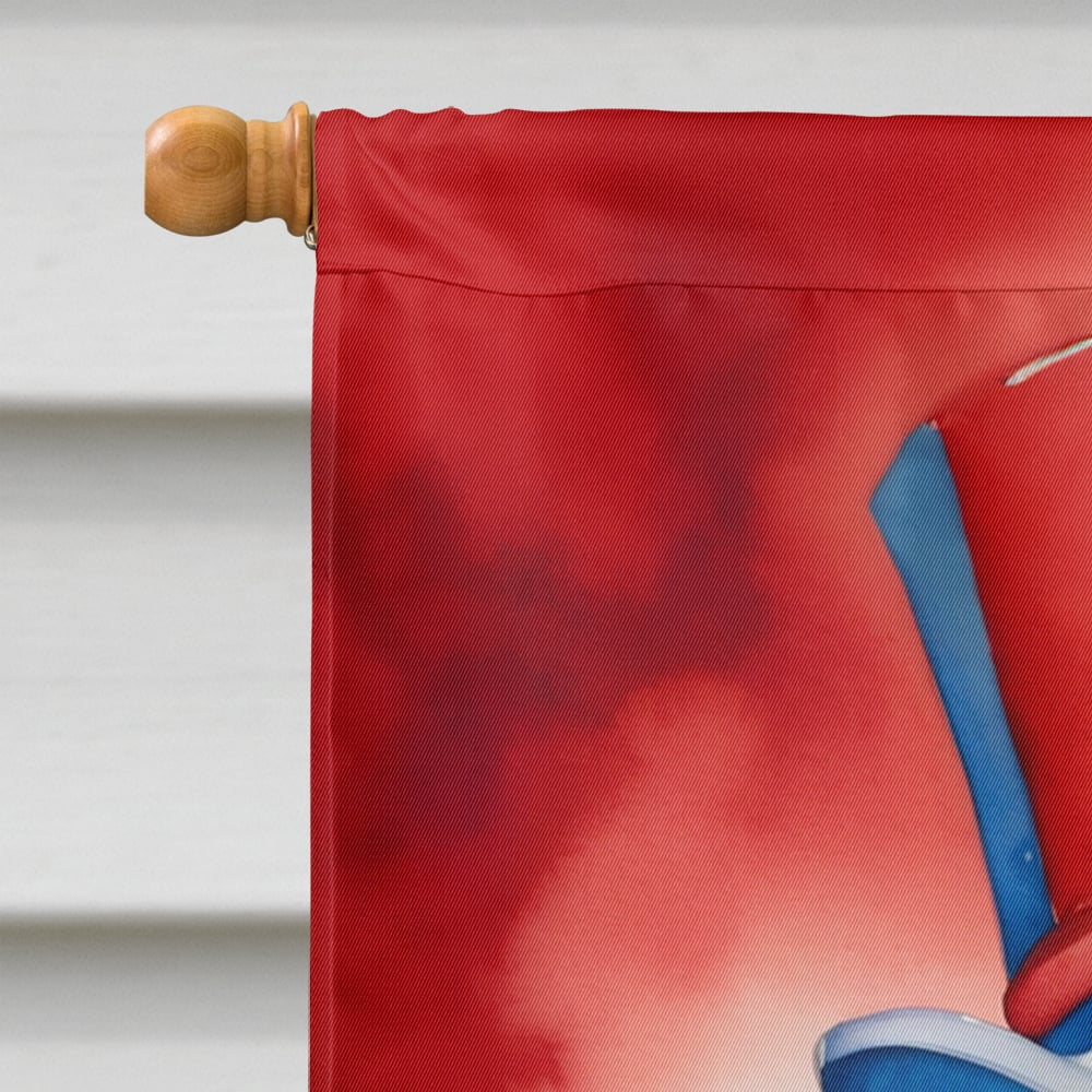 Collie Patriotic American House Flag 28 in x 40 in