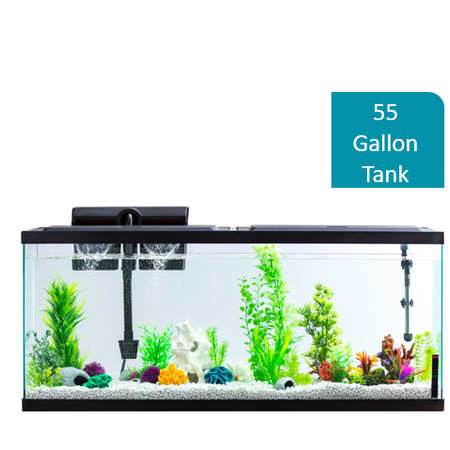 Aqua Culture 55-Gallon Fish Tank LED Aquarium Kit