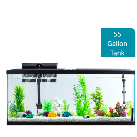 Aqua Culture 55-Gallon Fish Tank Kit With LED