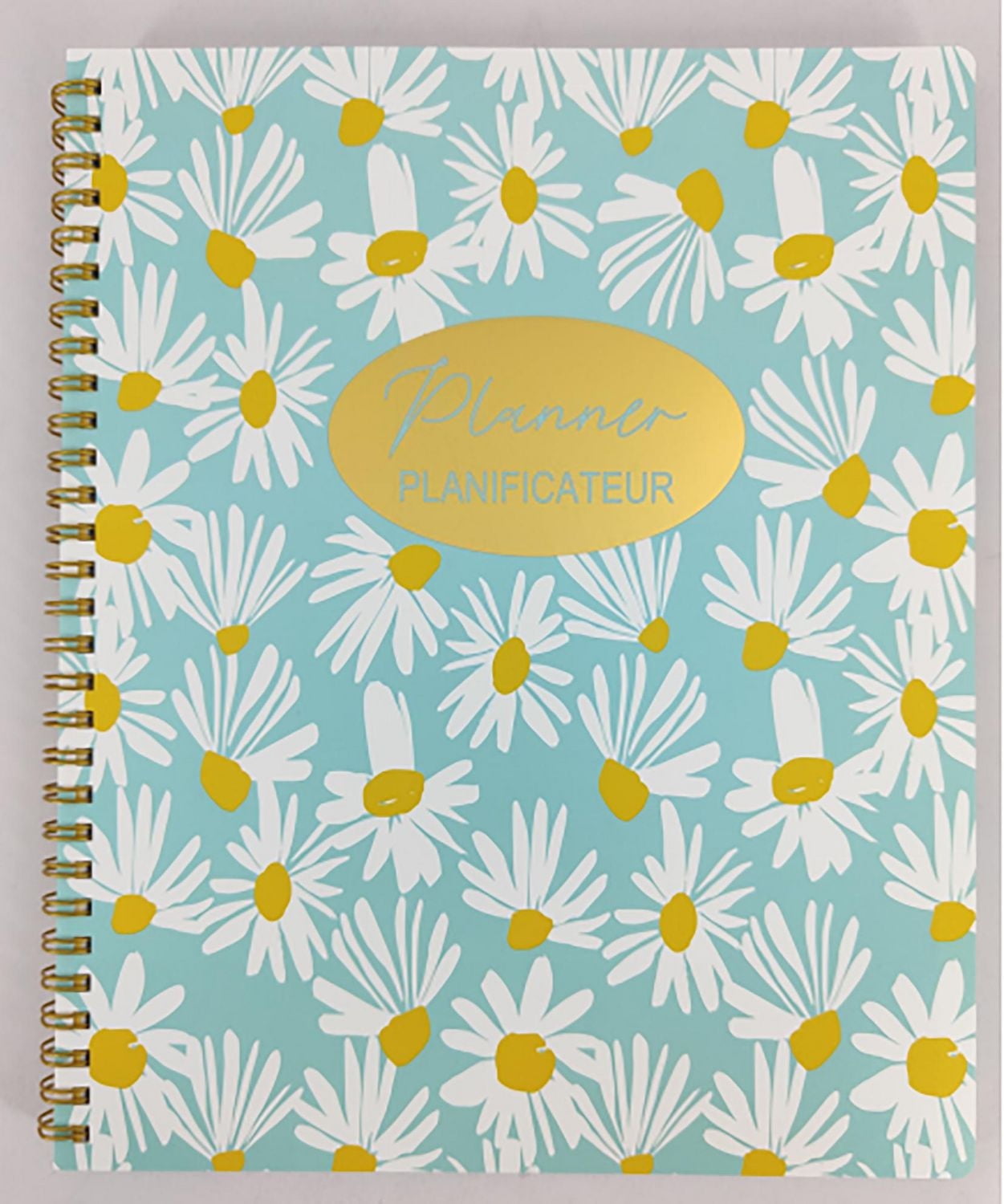12 MONTH DAILY PLANNER, PLANNER WITH 12 MONTHS