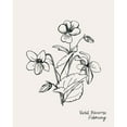 thumbnail image 3 of Popp, Grace 20x24 Black Modern Framed Museum Art Print Titled - Annual Flowers II, 3 of 5