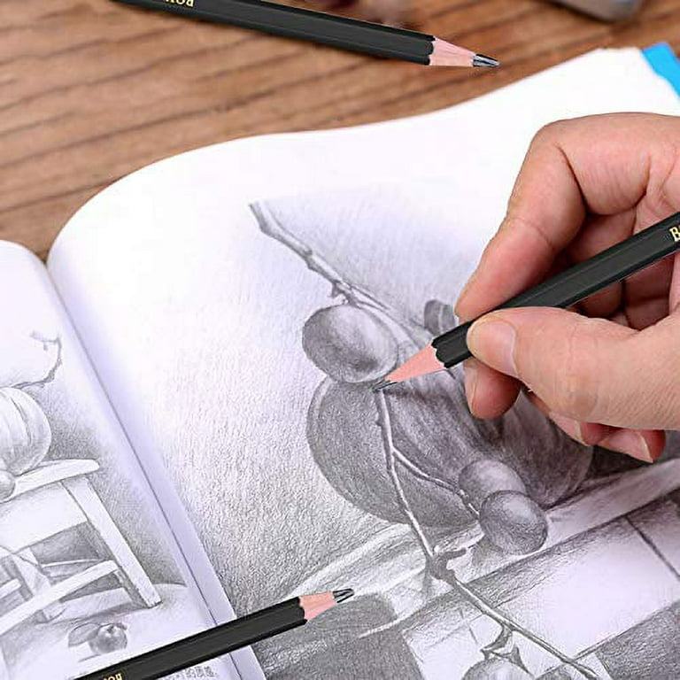Sketching Pencils,Casewin 12pcs Drawing Pencils Professional Set 8B 7B 6B  5B 4B 3B 2B B HB F H 2H Art Pencils for Adults Artists Beginners Students