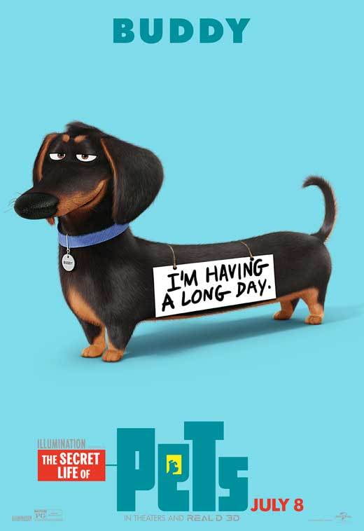 walmart secret life of pets movie walmart secret life of pets movie