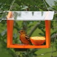 thumbnail image 3 of Birds Choice 2-Cup Nectar and Jelly Oriole Feeder, Orange, 3 of 16