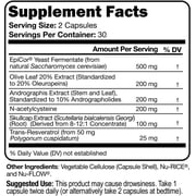 Immune Script with Epicor, Indian Echinacea Andrographis, Olive Leaf, Skullcap Root and NAC for Optimal Immune Function