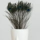thumbnail image 5 of 10 plumas de pavo real naturales, accesorios para manualidades, decoración de bodas, 5 of 8