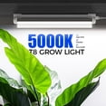 thumbnail image 2 of Luces de cultivo Barrina T8 60W 30 cm Espectro completo Paquete de 4, 2 of 9