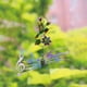 thumbnail image 1 of Campanillas de viento para exteriores con mariposas, campanas de viento de tubo de aluminio con gancho en S | Decoración de jardín para patio, balcón y terraza, 1 of 6