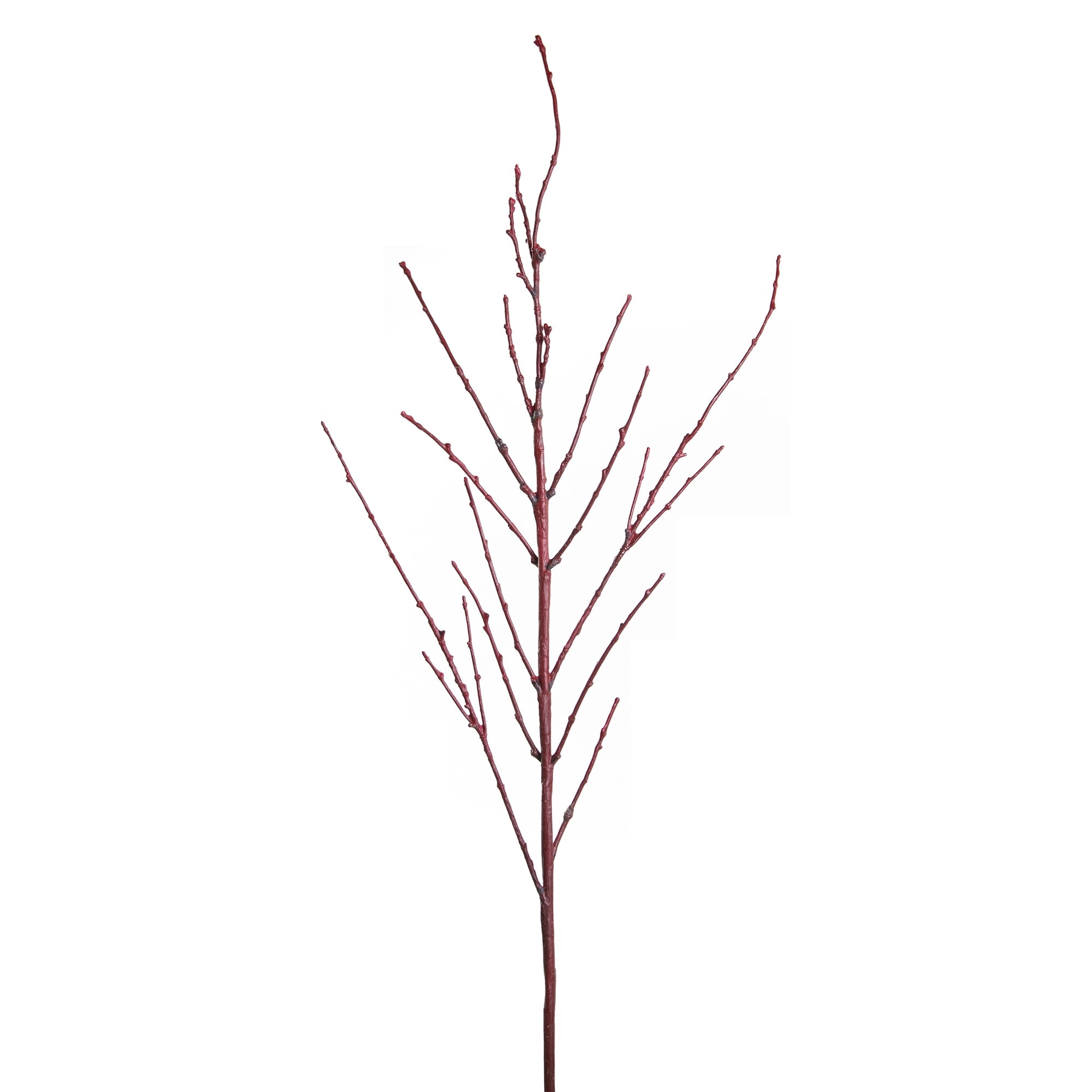 24" Red Twig Dogwood Branch