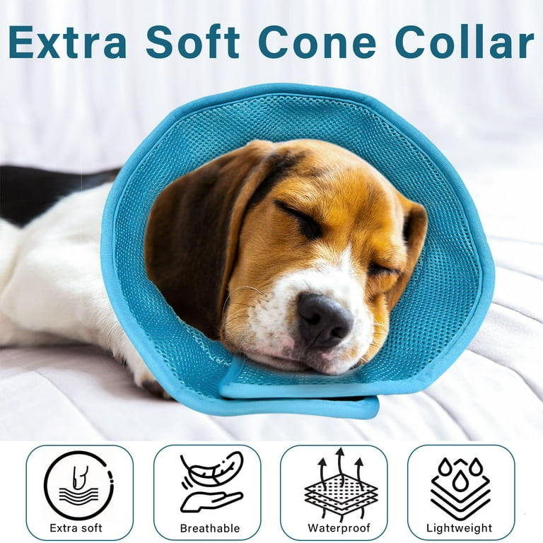 Cone protector for dogs online