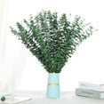 thumbnail image 2 of 40 PCS Dried Preserved Eucalyptus for Shower, 17" Real Natural Fresh Hanging Eucalyptus Stems,Real Eucalyptus Leaves Branches for Vase Filler,Bathroom,Wedding,Dried Flowers Arrangement Decor, 2 of 9