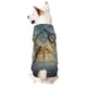 thumbnail image 1 of Balery Vintage Compass Sudadera con Capucha para Perros Pequeños – Ropa para Mascotas, Disfraz para Perros y Gatos, Ideal para Fiestas y Cosplay-X-Large, 1 of 7