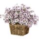 thumbnail image 4 of Flores Artificiales Ramo Falso Decoración Del Hogar Plantas De Simulación De Plástico Flores Para Patio Trasero Jardín Balcón 2 Uds sonducket HA044091-01, 4 of 6