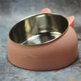 thumbnail image 6 of 15 Degree Tilted Pet Cat Bowl Stainless Steel Puppy Cats Food Drink Water Feeder with Non-slip Base Neck Protection Dish Bowl, 6 of 9