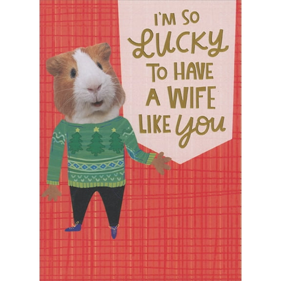 Designer Greetings I'm So Lucky: Hamster Wearing Green Holiday Sweater Funny 3D Sliding Panel Christmas Card for Wife