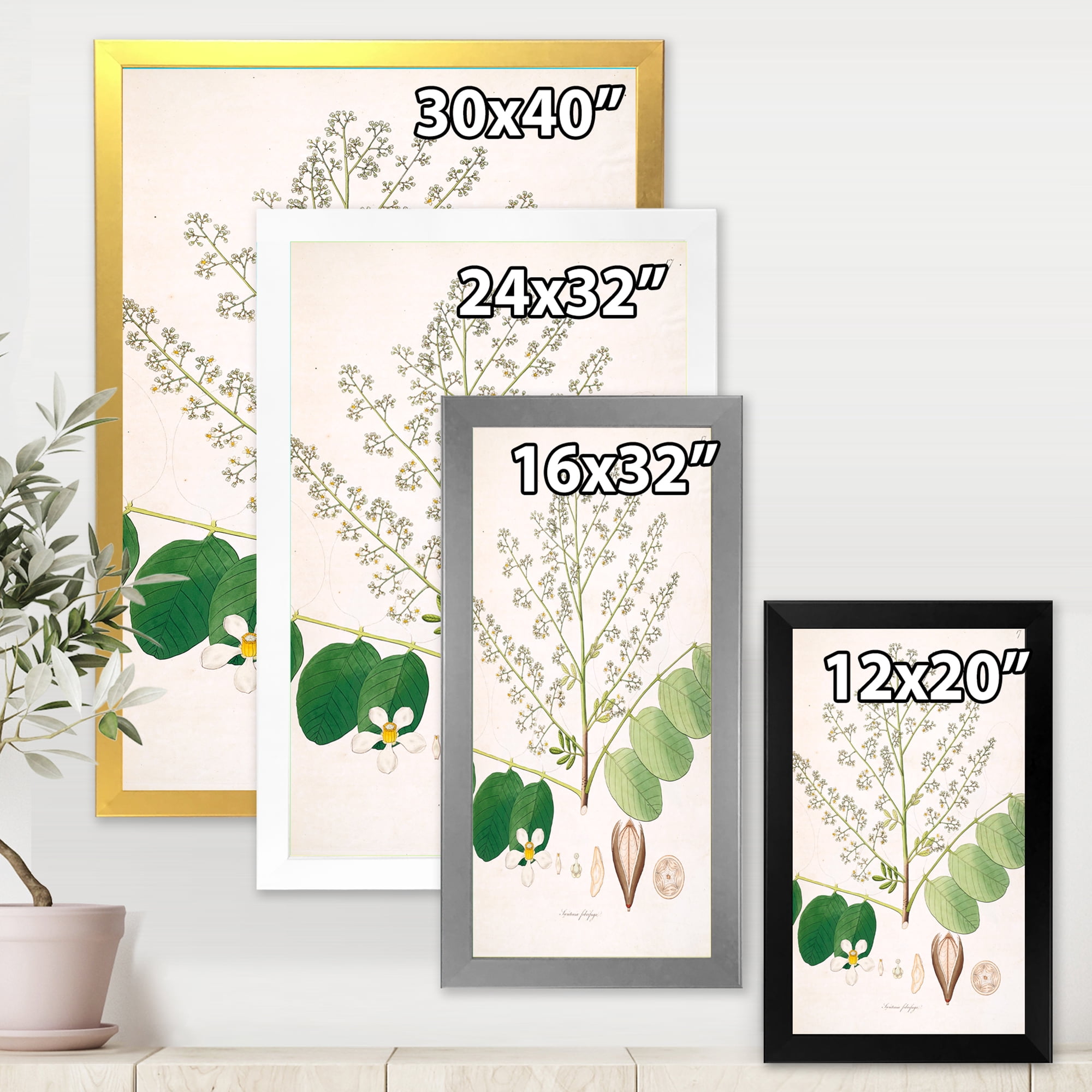 Designart 'Ancient Botanicals XVI' Farmhouse Framed Art Print