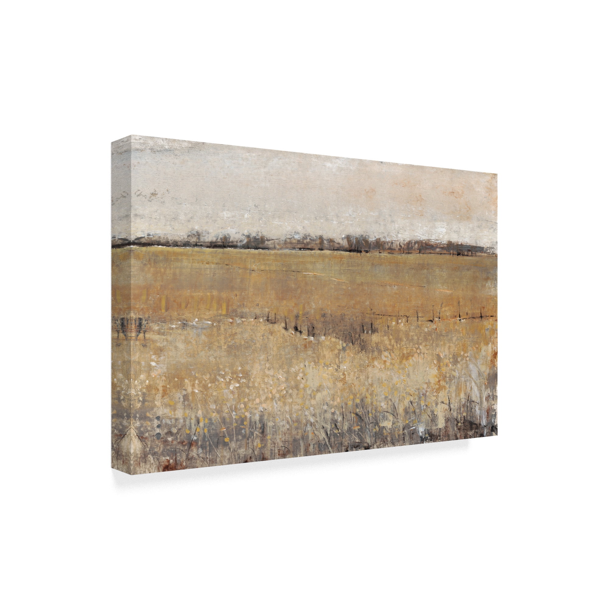 Trademark Fine Art 'UA CH Fenced In II' Canvas Art by Tim OToole