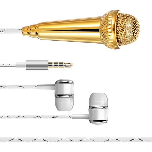 Miniature Small Microphone for Singing, Recording, and Interviewing - Compact and Portable Design