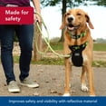thumbnail image 3 of Cuerda trenzada reflectante Leash Coastal K-9 Explorer de 1,5 m, 3 of 7
