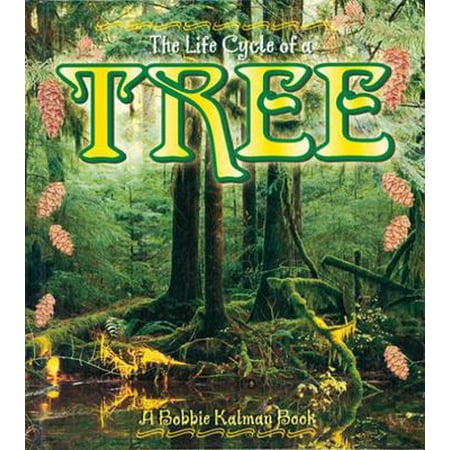 Pre-Owned Tree (Paperback) 0778706893 9780778706892