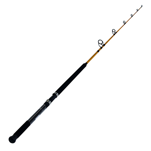 sea fishing rods for sale near me