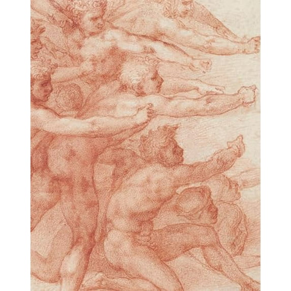 Pre-Owned Michelangelo: Divine Draftsman and Designer (Hardcover) 1588396371 9781588396372