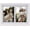 Bright White, variant on Collage Picture Frame, Double 4x6 Picture Frame with Mat, Fits 8x10 or Two 4x6 Photos, Tempered Glass, for Tabletop or Wall Mount-Bright White