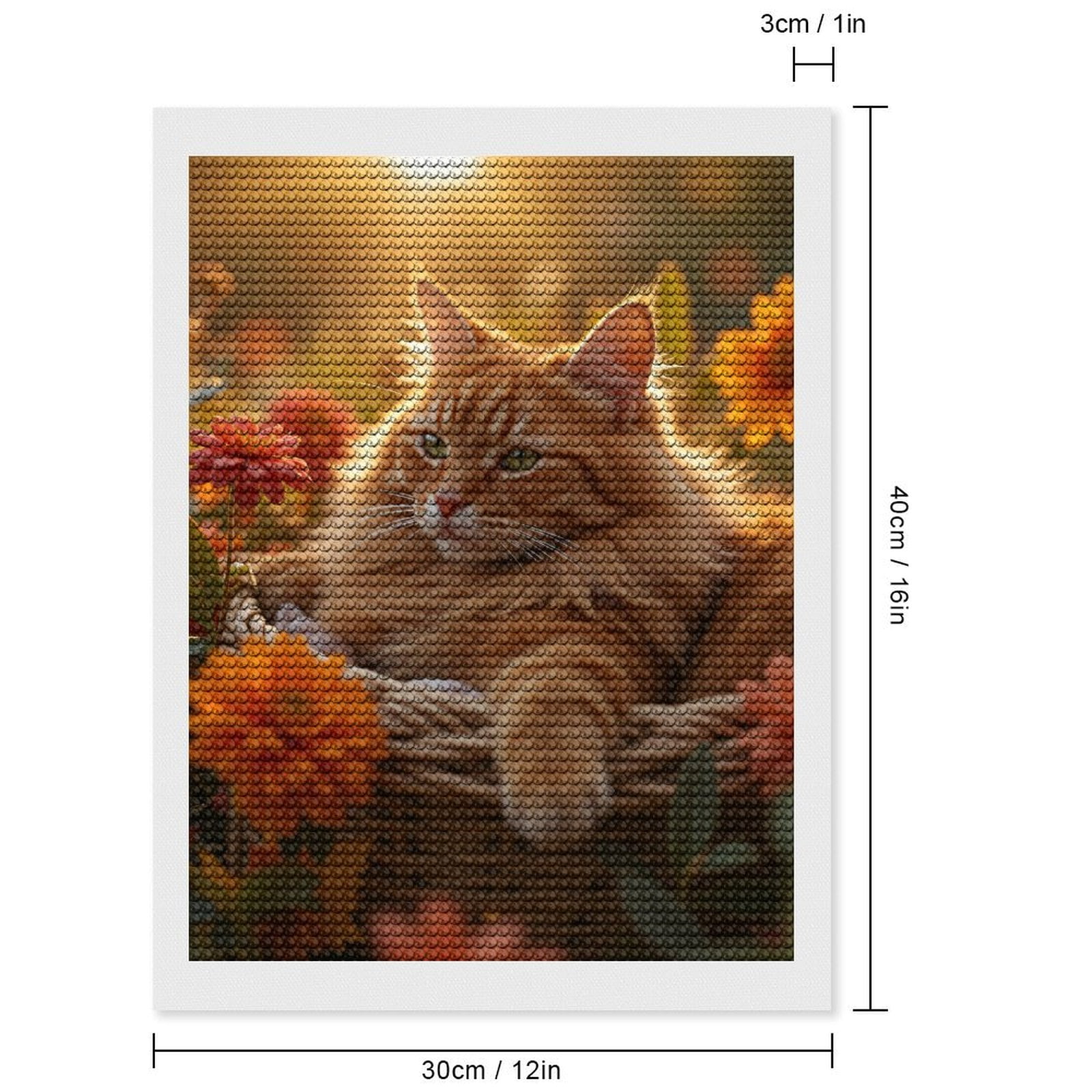 Diamond Art Kits for Adults - Orange Cat In Basket Flowers 5d Diamond Painting for Adults, Diamond Art for Adults Beginners, Frameless Diamond Painting Kits for Adults for Home Wall Decor