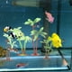 thumbnail image 4 of KAKOWELY 40 piezas de plantas de acuario de plástico, cocotero artificial, adorno para pecera., 4 of 4