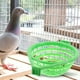 thumbnail image 5 of 2 unids resistente de aves cría cuenca de nido práctico carne paloma nido cuenca (verde), 5 of 8