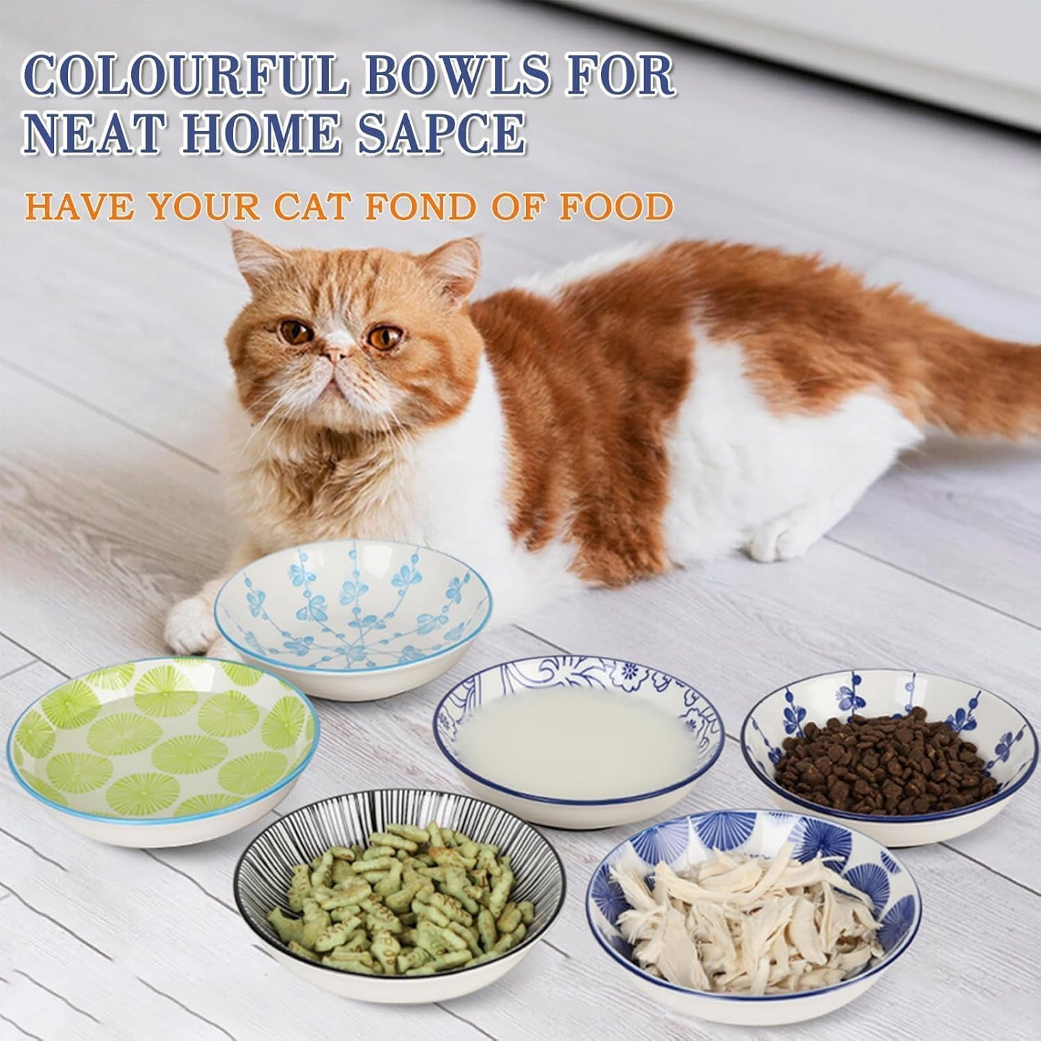 Ceramic Cat Bowls with Non-Slip Silicone Bottom,6 Pack Cat Food Bowl,Anti Whisker Fatigue Cats Dishes for Indoor Cats,Healthy Ceramic Kitten Plates for Daily Feeding Gift Choice (Classic)
