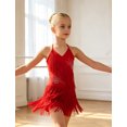 thumbnail image 6 of IBTOM CASTLE Floral Rhinestone Fringe Tassel Latin Dance Dress for Girls 1920s Fapper Dress Kids V Neck Cross Back Ballroom Dance Outfit Red, 6 of 7