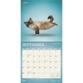 thumbnail image 4 of Yoga Cats Official 2025 12 X 24 Inch Monthly Square Wall Calendar Plastic-Free, (Paperback), 4 of 9