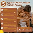 thumbnail image 4 of Zammex Multi Collagen Peptides Powder 16oz, Hydrolyzed Collagen Protein Powder Collagen Types I,II,III,V,X, Chocolate &Coconut Flavor, 41 Servings, 4 of 7