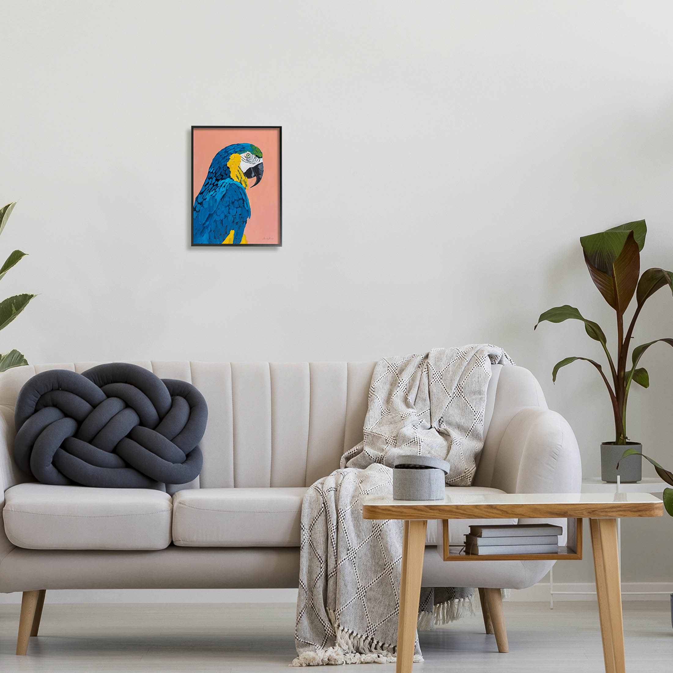 Stupell Industries Bold Parrot Wildlife Portrait Painting Black Framed Art Print Wall Art, Design by Pamela Munger