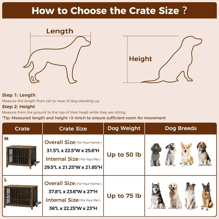 What Size Dog Crate: Ultimate Guide to Perfect Fit Choices