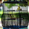thumbnail image 2 of Jupe de Cage à Perroquet en Nylon, 2 of 3