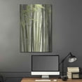 thumbnail image 5 of Luxe Metal Art 'Backlit Bamboo II' by Lori Deiter, Metal Wall Art, 24"x36", 5 of 9