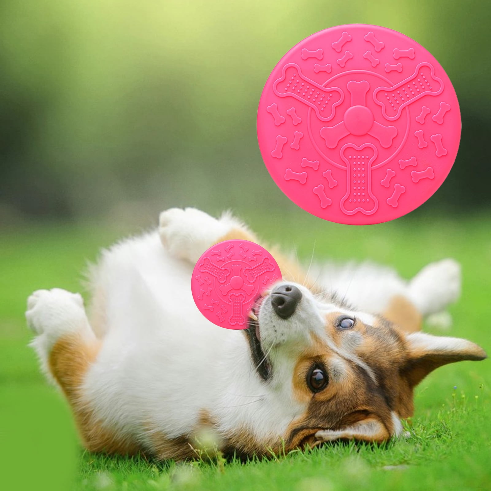 Flying Saucer Dog Toys – PUPPIES HAPPY
