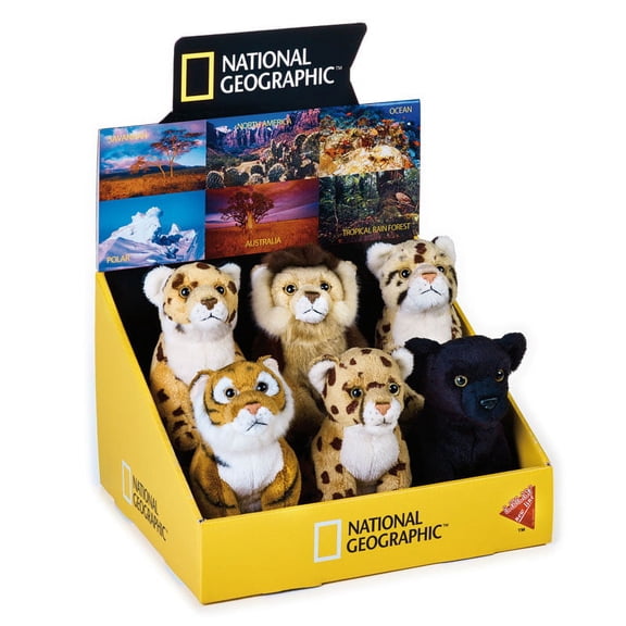 6pc Baby BIG CATS National Geographic